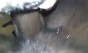 Ntotila-nkento ya éb ...